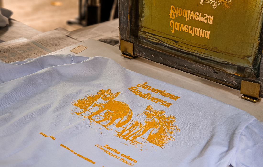 Actividad: estampa la biodiversidad