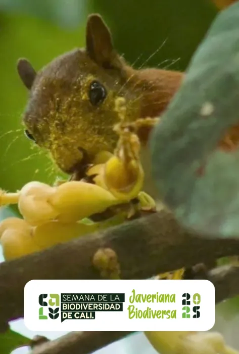 Javeriana Biodiversa 2025
