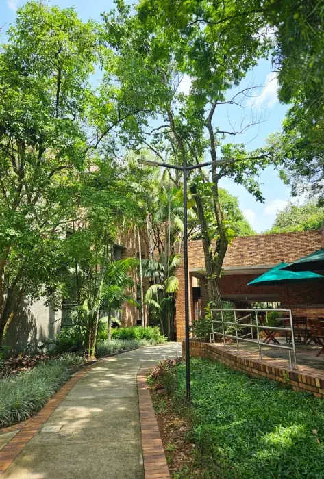 Javeriana Cali acelera el recambio a iluminación LED: 93% del campus ya opera con tecnología eficiente  